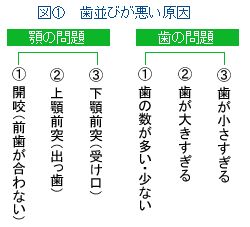 歯並びが悪い原因1